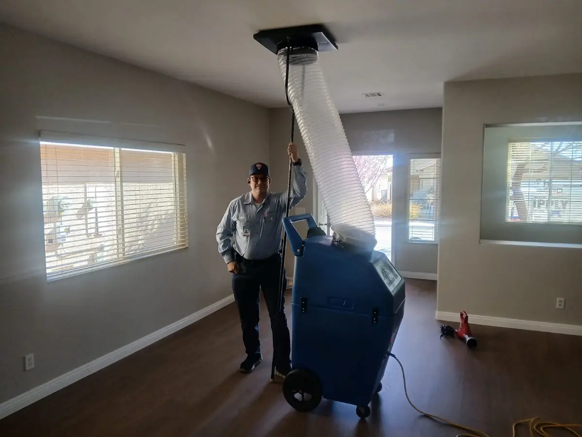 Professional Dryer Vent Cleaning work inside a Munster home